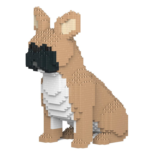 Jekca: French Bulldog Sitting