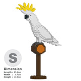 Jekca: Sulphur-crested Cockatoo