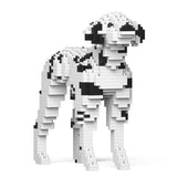 Jekca: Dalmation