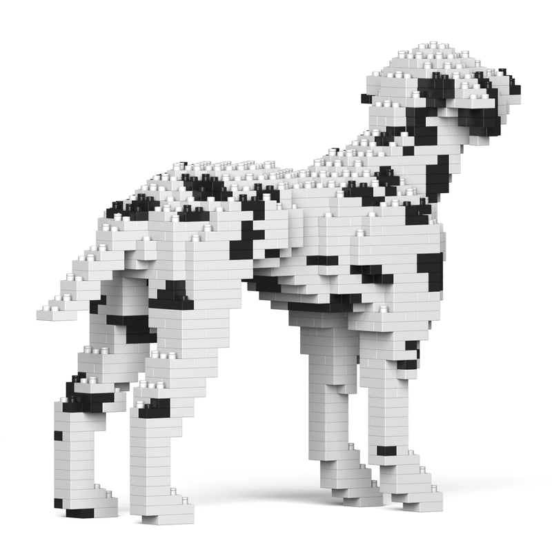 Jekca: Dalmation