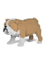 Jekca: English Bulldog Light (Medium)