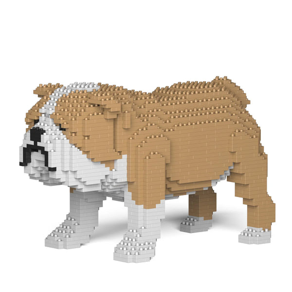 Jekca: English Bulldog