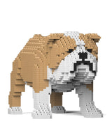 Jekca: English Bulldog Light (Medium)