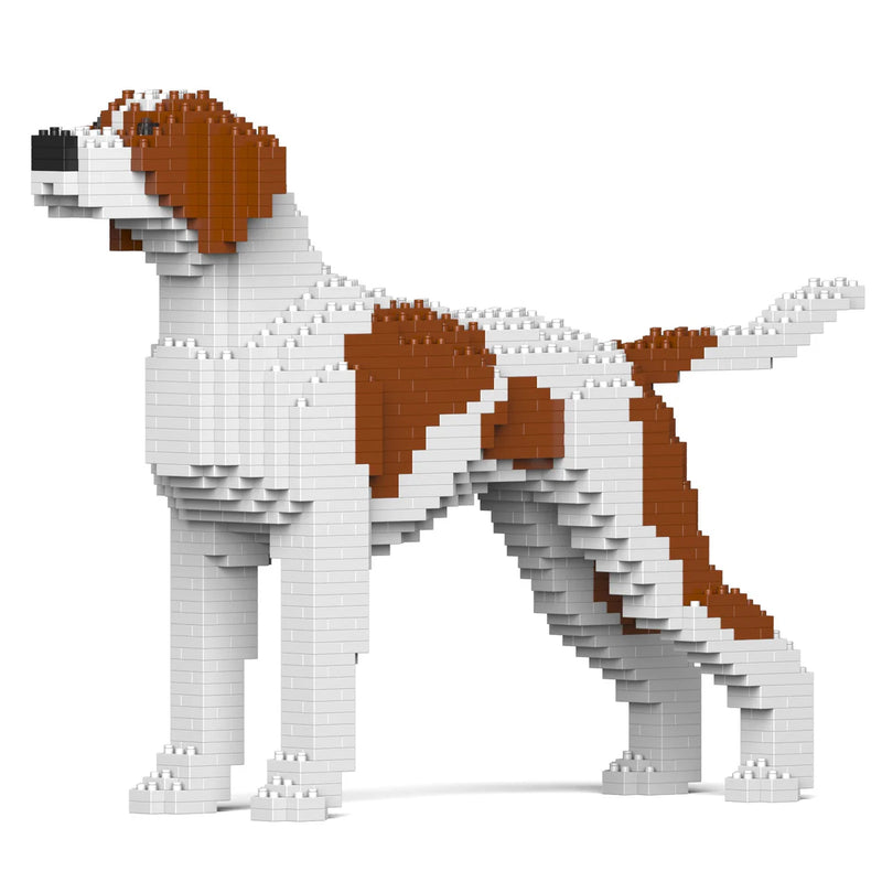 Jekca: English Pointer