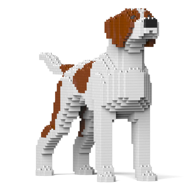 Jekca: English Pointer