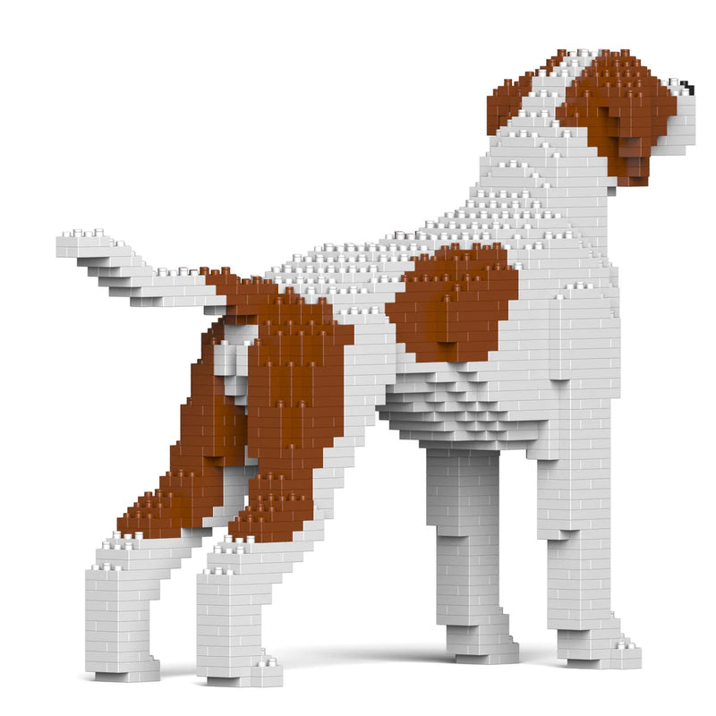 Jekca: English Pointer