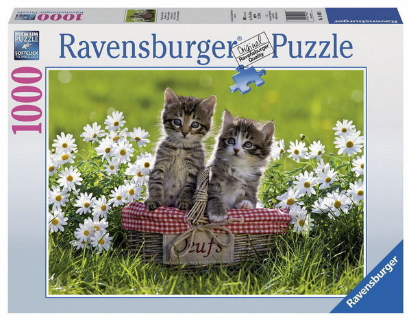 Ravensburger 1000pc Picnic in the Meadow