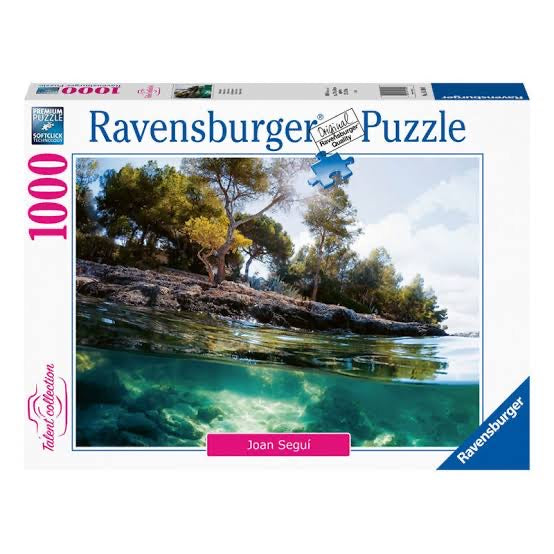 Ravensburger 1000pc Points of View