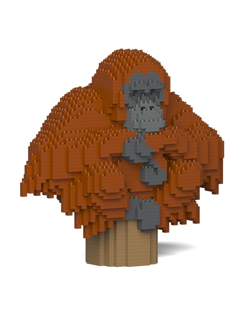 Jekca: Orangutan